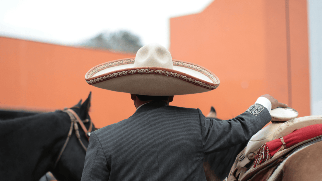 man wearing mexican sombrero hat viewed from behind, next to horses.