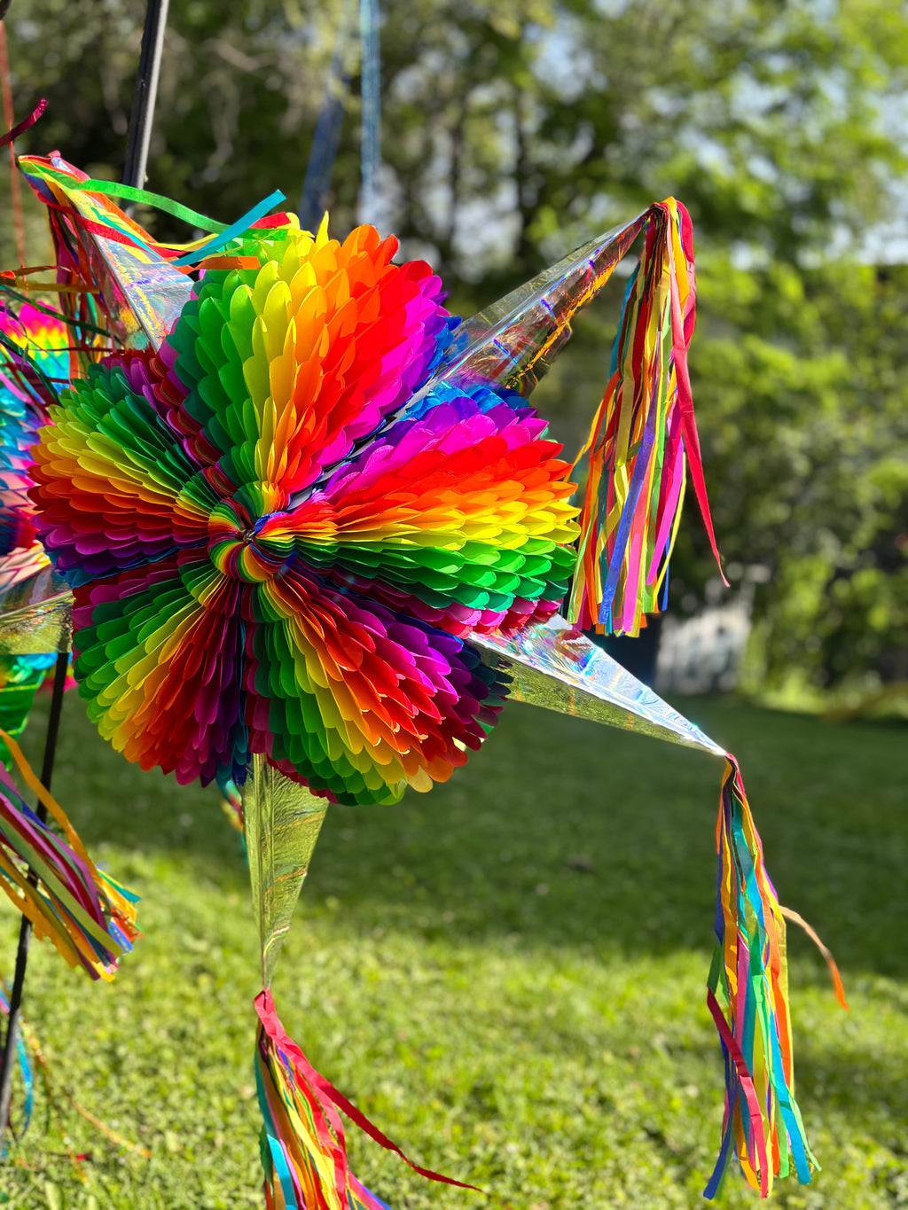 Colorful rainbow pinata with tassels on a grassy background