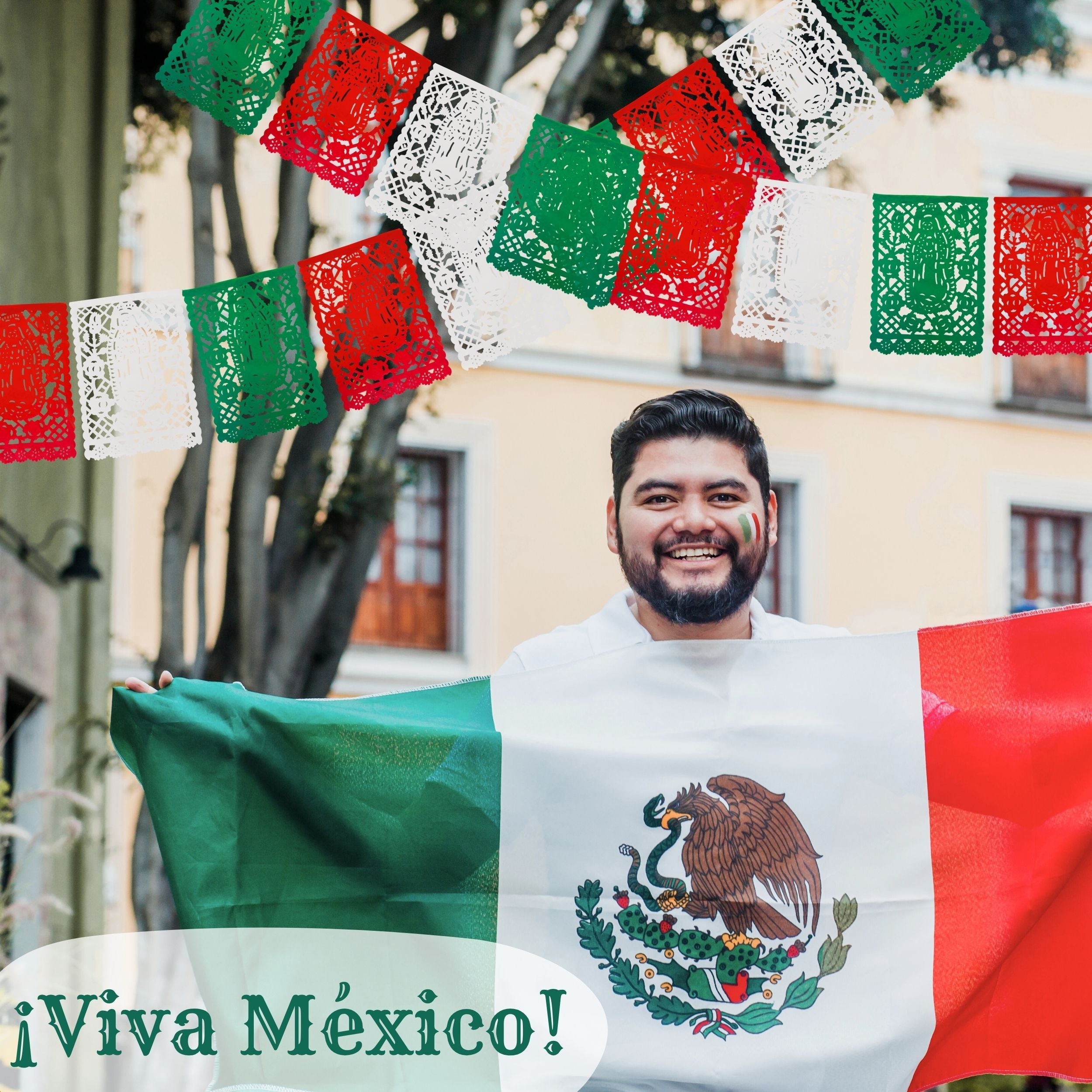 Virgen de Guadalupe Papel Picado - Papel (Paquete de 2)